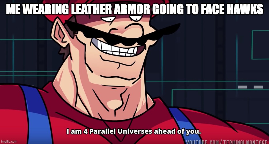 Mario I am four parallel universes ahead of you | ME WEARING LEATHER ARMOR GOING TO FACE HAWKS | image tagged in mario i am four parallel universes ahead of you | made w/ Imgflip meme maker