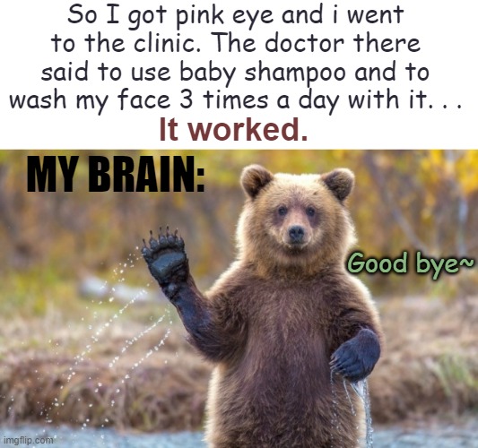 My brain cells r gone from this- | So I got pink eye and i went to the clinic. The doctor there said to use baby shampoo and to wash my face 3 times a day with it. . . It worked. MY BRAIN:; Good bye~ | image tagged in bye bye bear | made w/ Imgflip meme maker