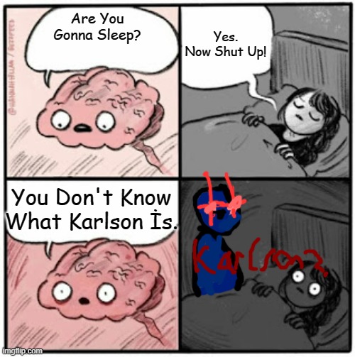 KARLSON?? | Yes. Now Shut Up! Are You Gonna Sleep? You Don't Know What Karlson İs. | image tagged in brain before sleep,karlson | made w/ Imgflip meme maker