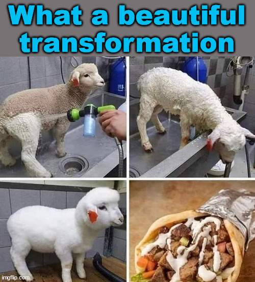 What a beautiful transformation | image tagged in tasty | made w/ Imgflip meme maker