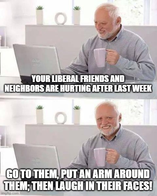 gloating is justified | YOUR LIBERAL FRIENDS AND NEIGHBORS ARE HURTING AFTER LAST WEEK; GO TO THEM, PUT AN ARM AROUND THEM; THEN LAUGH IN THEIR FACES! | image tagged in memes,hide the pain harold | made w/ Imgflip meme maker