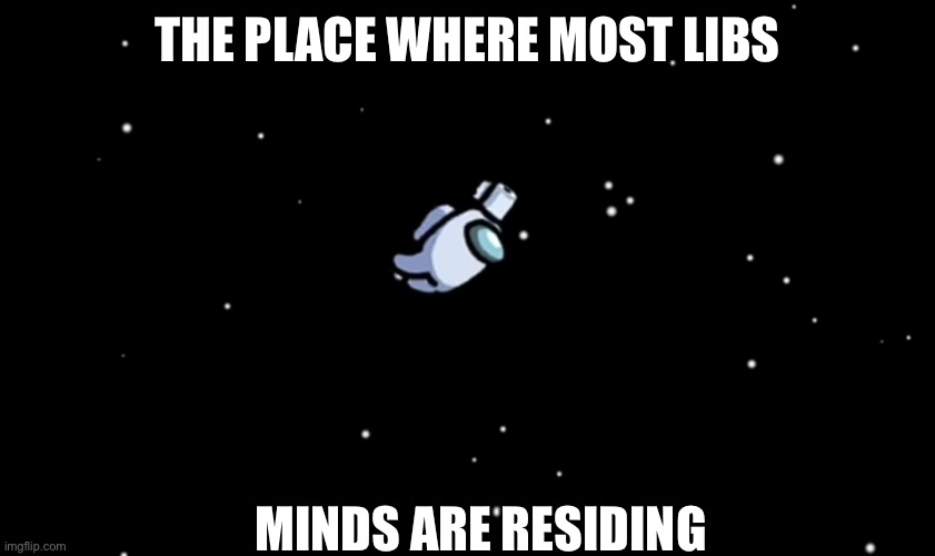 Among Us ejected | THE PLACE WHERE MOST LIBS; MINDS ARE RESIDING | image tagged in among us ejected | made w/ Imgflip meme maker