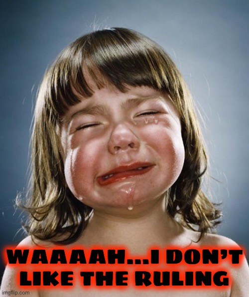 Crybaby | WAAAAH…I DON’T LIKE THE RULING | image tagged in crybaby | made w/ Imgflip meme maker