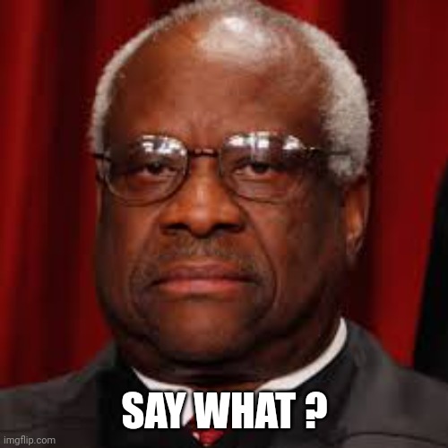 Clarence Thomas unhappy | SAY WHAT ? | image tagged in clarence thomas unhappy | made w/ Imgflip meme maker