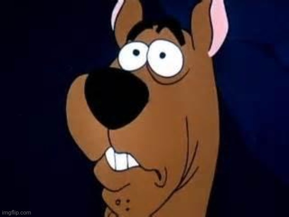 What did Scooby see? | image tagged in scooby doo surprised | made w/ Imgflip meme maker