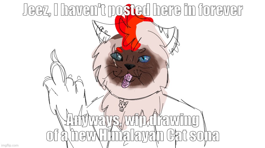 Name suggestions? | Jeez, I haven't posted here in forever; Anyways, wip drawing of a new Himalayan Cat sona | made w/ Imgflip meme maker