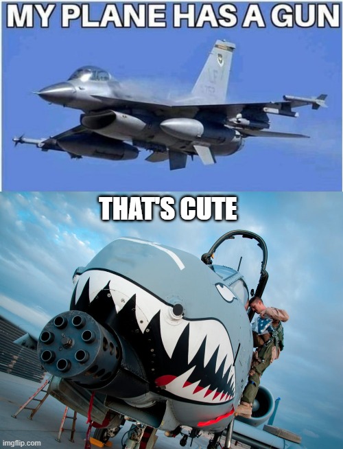 A-10 | THAT'S CUTE | image tagged in airplane | made w/ Imgflip meme maker