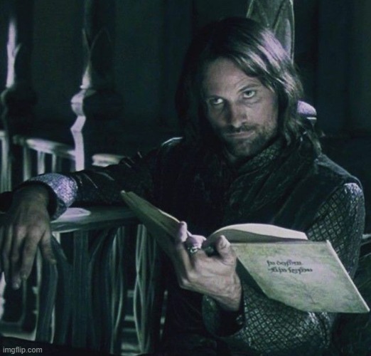 Aragorn Reading Template | image tagged in aragorn,lotr,lord of the rings,reading,stop reading the tags | made w/ Imgflip meme maker
