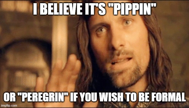 Aragorn Correcting Spelling and Grammar | I BELIEVE IT'S "PIPPIN" OR "PEREGRIN" IF YOU WISH TO BE FORMAL | image tagged in aragorn correcting spelling and grammar | made w/ Imgflip meme maker