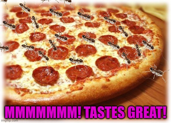 Best new pizza topping | MMMMMMM! TASTES GREAT! | image tagged in best,new pizza,topping | made w/ Imgflip meme maker