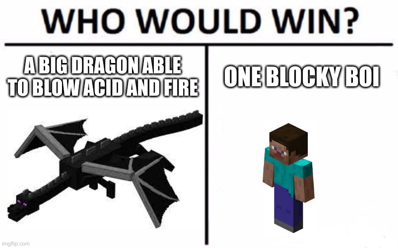 Minecraft |  A BIG DRAGON ABLE TO BLOW ACID AND FIRE; ONE BLOCKY BOI | image tagged in memes,who would win,minecraft,minecraft steve | made w/ Imgflip meme maker