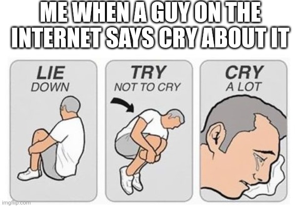 cry a lot | ME WHEN A GUY ON THE INTERNET SAYS CRY ABOUT IT | image tagged in cry a lot | made w/ Imgflip meme maker