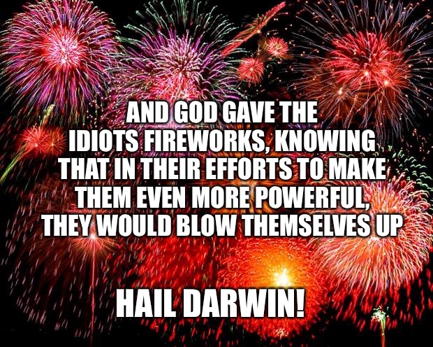 fireworks | AND GOD GAVE THE IDIOTS FIREWORKS, KNOWING THAT IN THEIR EFFORTS TO MAKE THEM EVEN MORE POWERFUL, THEY WOULD BLOW THEMSELVES UP; HAIL DARWIN! | image tagged in fireworks | made w/ Imgflip meme maker