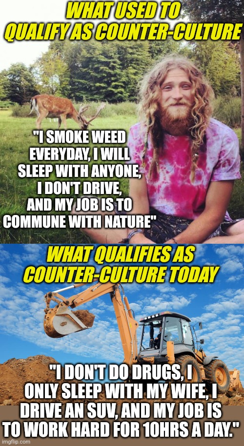Talk about how things change over time. | WHAT USED TO QUALIFY AS COUNTER-CULTURE; "I SMOKE WEED EVERYDAY, I WILL SLEEP WITH ANYONE, I DON'T DRIVE, AND MY JOB IS TO COMMUNE WITH NATURE"; WHAT QUALIFIES AS COUNTER-CULTURE TODAY; "I DON'T DO DRUGS, I ONLY SLEEP WITH MY WIFE, I DRIVE AN SUV, AND MY JOB IS TO WORK HARD FOR 10HRS A DAY." | image tagged in hippie,working,know the difference,reality check,culture,timing | made w/ Imgflip meme maker