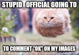 flying cat ball | STUPID_OFFICIAL GOING TO; TO COMMENT "OK" ON MY IMAGES | image tagged in flying cat ball | made w/ Imgflip meme maker