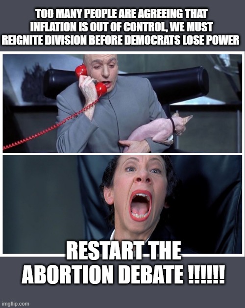 democrats were losing too many moderate and democrat supporters from their failed policies | TOO MANY PEOPLE ARE AGREEING THAT INFLATION IS OUT OF CONTROL, WE MUST REIGNITE DIVISION BEFORE DEMOCRATS LOSE POWER; RESTART THE ABORTION DEBATE !!!!!! | image tagged in dr evil and frau yelling,stupid liberals,political meme,political humor,the truth,funny memes | made w/ Imgflip meme maker