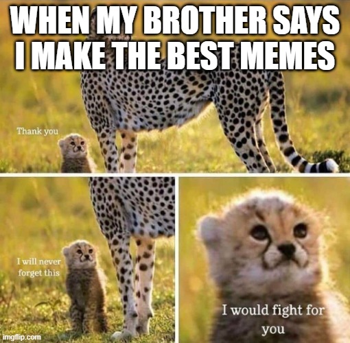 wholesome meme | WHEN MY BROTHER SAYS I MAKE THE BEST MEMES | image tagged in i would fight for you | made w/ Imgflip meme maker