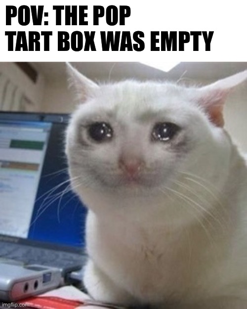 Tartless | POV: THE POP TART BOX WAS EMPTY | image tagged in crying cat,cats,funny,pop tarts,sad,pov | made w/ Imgflip meme maker