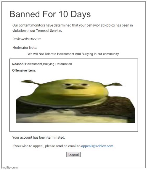 BRUH MOMENT | Banned For 10 Days; 03/22/22; We will Not Tolerate Harrasment And Bullying in our community; Harrasment,Bullying,Defamation | image tagged in moderation system | made w/ Imgflip meme maker