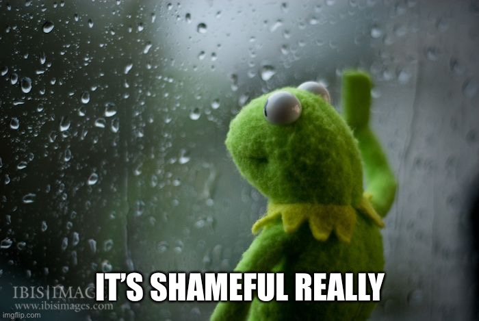 kermit window | IT’S SHAMEFUL REALLY | image tagged in kermit window | made w/ Imgflip meme maker