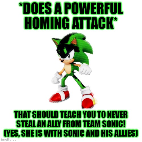 *DOES A POWERFUL HOMING ATTACK* THAT SHOULD TEACH YOU TO NEVER STEAL AN ALLY FROM TEAM SONIC! (YES, SHE IS WITH SONIC AND HIS ALLIES) | made w/ Imgflip meme maker