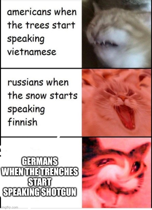 Screaming cats | GERMANS WHEN THE TRENCHES START SPEAKING SHOTGUN | image tagged in screaming cats | made w/ Imgflip meme maker