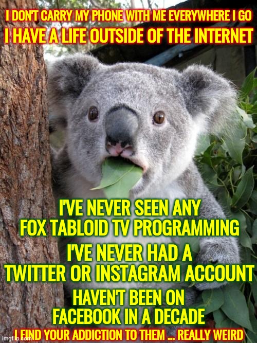 If You Could See Yourselves You'd Be Concerned About Your Mental Health | I DON'T CARRY MY PHONE WITH ME EVERYWHERE I GO; I HAVE A LIFE OUTSIDE OF THE INTERNET; I'VE NEVER SEEN ANY FOX TABLOID TV PROGRAMMING; I'VE NEVER HAD A TWITTER OR INSTAGRAM ACCOUNT; HAVEN'T BEEN ON FACEBOOK IN A DECADE; I FIND YOUR ADDICTION TO THEM ... REALLY WEIRD | image tagged in memes,surprised koala,stupid people,special kind of stupid,you're special,use the thinking part of your brain | made w/ Imgflip meme maker