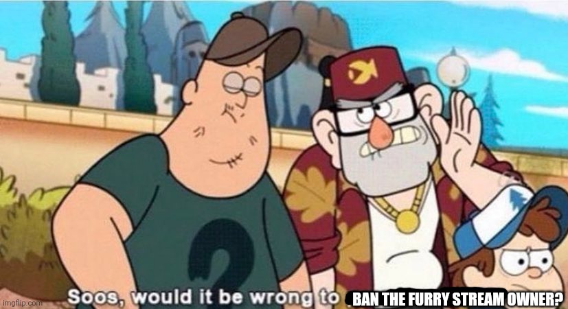 lol | BAN THE FURRY STREAM OWNER? | image tagged in soos would it be wrong to punch a child | made w/ Imgflip meme maker