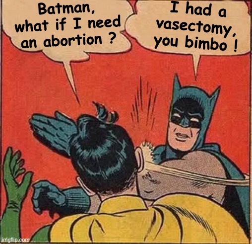 Robin getting worried | I had a vasectomy, you bimbo ! Batman, what if I need an abortion ? | image tagged in memes,batman slapping robin | made w/ Imgflip meme maker