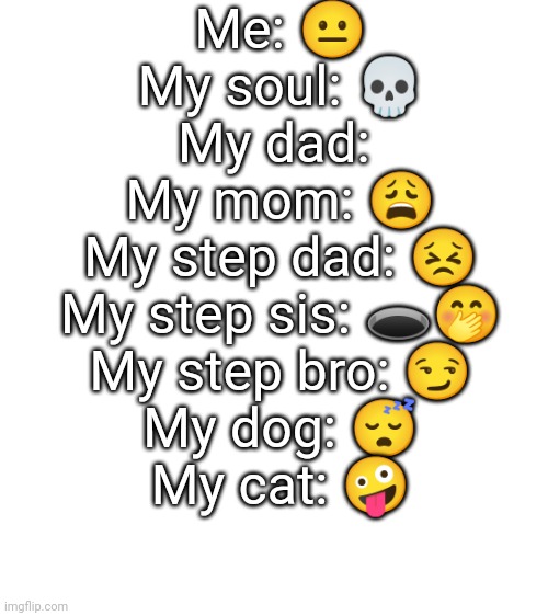 Storyline | Me: 😐
My soul: 💀
My dad: 
My mom: 😩
My step dad: 😣
My step sis: 🕳️🤭
My step bro: 😏
My dog: 😴
My cat: 🤪 | image tagged in true story | made w/ Imgflip meme maker