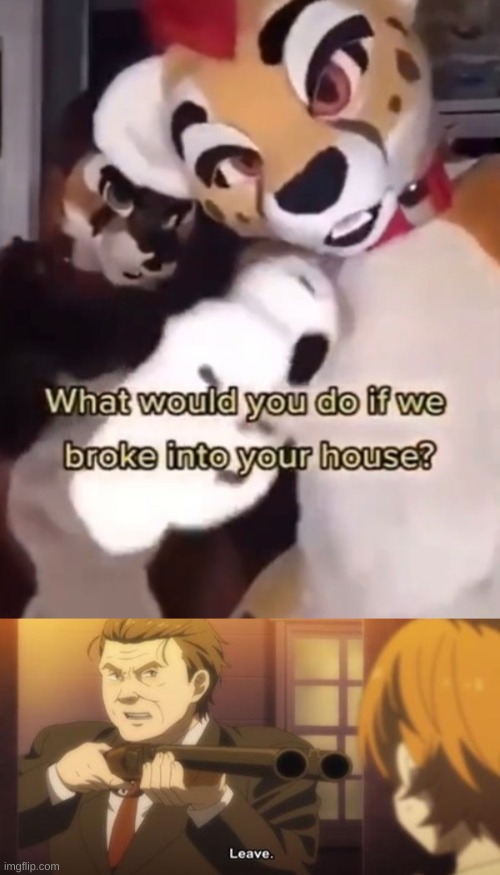 image tagged in what would you do if some fatherless furries broke into ur home | made w/ Imgflip meme maker