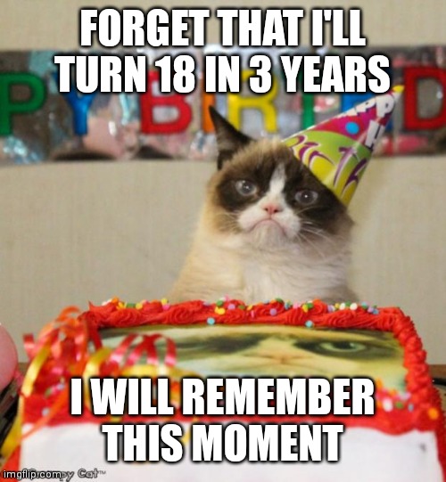 I'm not scared or anything | FORGET THAT I'LL TURN 18 IN 3 YEARS; I WILL REMEMBER THIS MOMENT | image tagged in memes,grumpy cat birthday,grumpy cat,funny,happy birthday | made w/ Imgflip meme maker