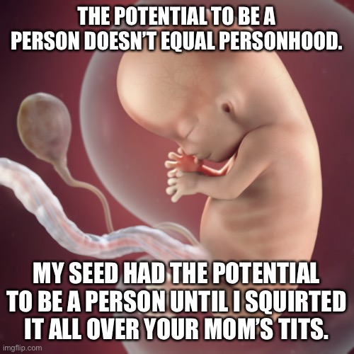 Life begins at erection. | THE POTENTIAL TO BE A PERSON DOESN’T EQUAL PERSONHOOD. MY SEED HAD THE POTENTIAL TO BE A PERSON UNTIL I SQUIRTED IT ALL OVER YOUR MOM’S TITS. | image tagged in prolife,abortion,roe v wade | made w/ Imgflip meme maker