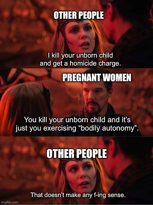 In Light of Roe V Wade being overturned | OTHER PEOPLE; I kill your unborn child and get a homicide charge. PREGNANT WOMEN; You kill your unborn child and it’s just you exercising “bodily autonomy”. OTHER PEOPLE; That doesn’t make any f-ing sense. | image tagged in i become the enemy scarlet witch | made w/ Imgflip meme maker