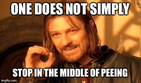 One Does Not Simply Meme | ONE DOES NOT SIMPLY STOP IN THE MIDDLE OF PEEING | image tagged in memes,one does not simply | made w/ Imgflip meme maker