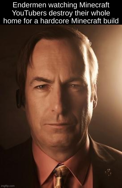 Saul Goodman | Endermen watching Minecraft YouTubers destroy their whole home for a hardcore Minecraft build | image tagged in saul goodman | made w/ Imgflip meme maker