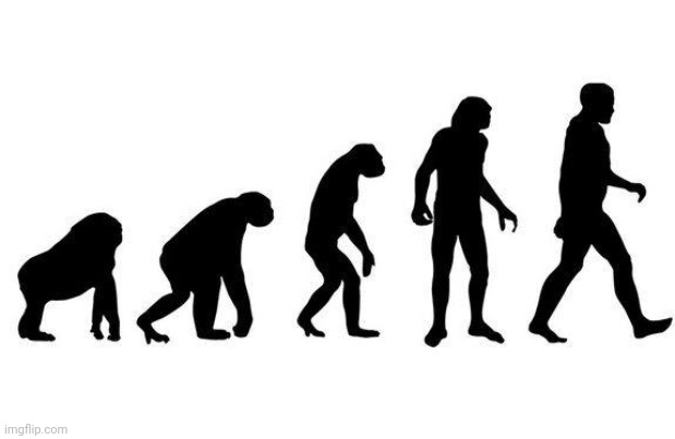 Human Evolution | image tagged in human evolution | made w/ Imgflip meme maker