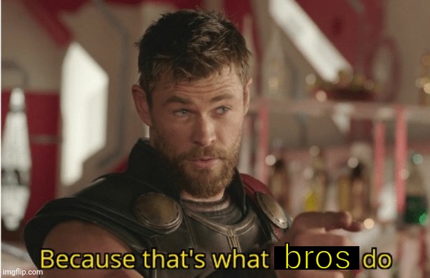 That’s what heroes do | bros | image tagged in that s what heroes do | made w/ Imgflip meme maker