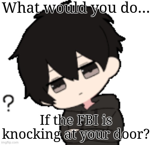 Shadow:What? | What would you do... If the FBI is knocking at your door? | image tagged in shadow what | made w/ Imgflip meme maker