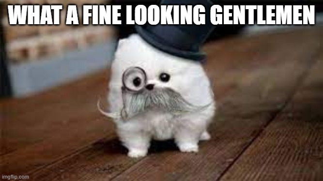 WHAT A FINE LOOKING GENTLEMEN | made w/ Imgflip meme maker