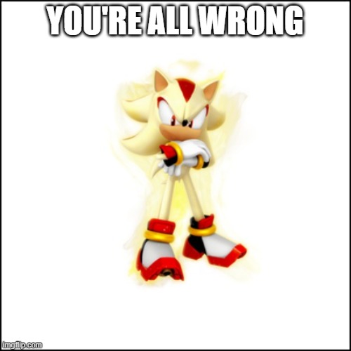 Super Shadow | YOU'RE ALL WRONG | image tagged in super shadow | made w/ Imgflip meme maker