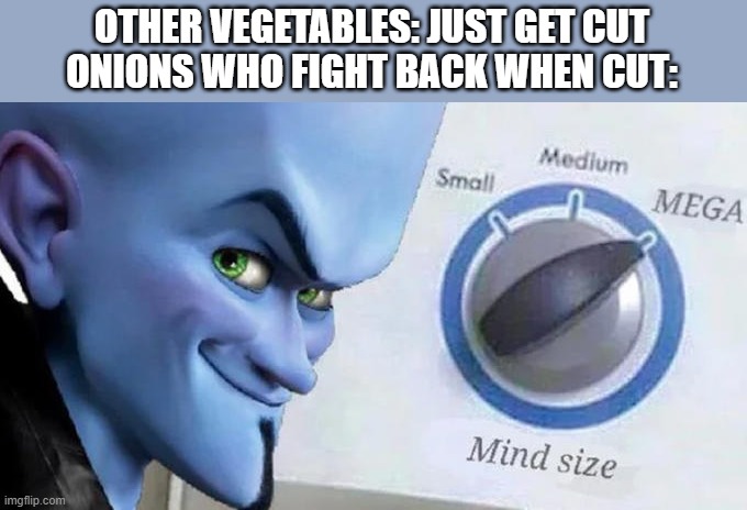 Mega Mind Size | OTHER VEGETABLES: JUST GET CUT
ONIONS WHO FIGHT BACK WHEN CUT: | image tagged in mega mind size | made w/ Imgflip meme maker