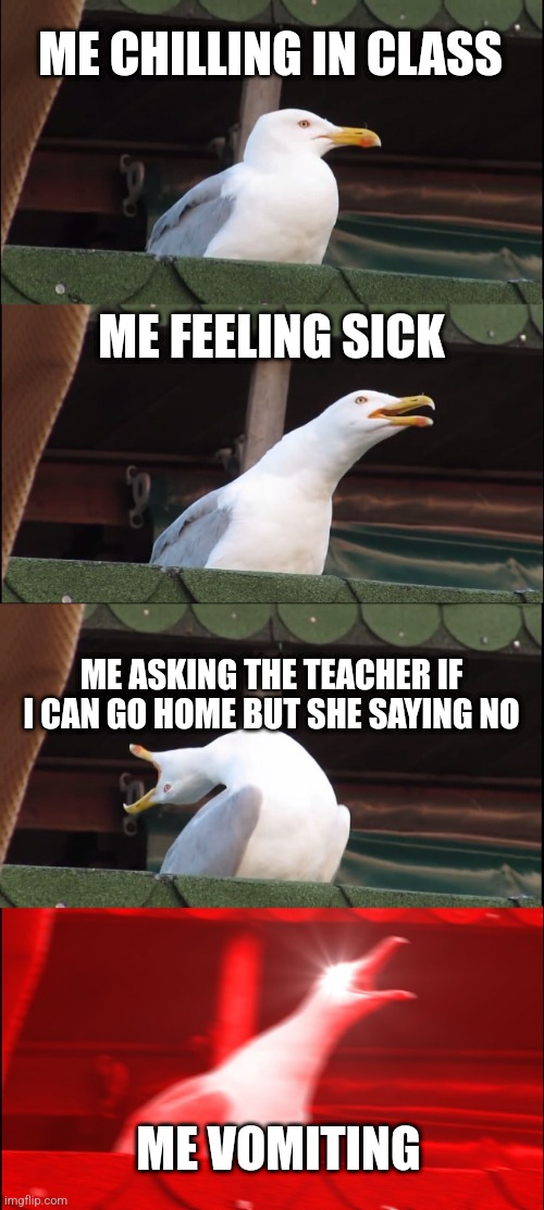 School be like | ME CHILLING IN CLASS; ME FEELING SICK; ME ASKING THE TEACHER IF I CAN GO HOME BUT SHE SAYING NO; ME VOMITING | image tagged in memes,inhaling seagull,school | made w/ Imgflip meme maker