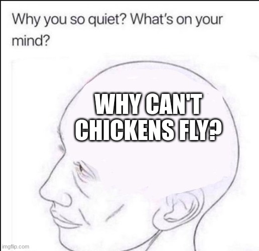 i mean, they are birds. Did god decide to screw them over or something? | WHY CAN'T CHICKENS FLY? | image tagged in blank head | made w/ Imgflip meme maker