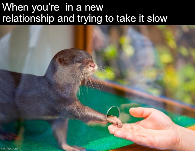 Clear cut boundaries | When you’re  in a new relationship and trying to take it slow | image tagged in funny memes,relationships,dating | made w/ Imgflip meme maker