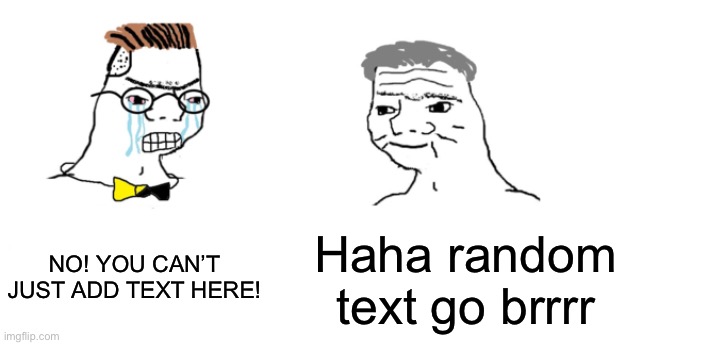 Random tgext | NO! YOU CAN’T JUST ADD TEXT HERE! Haha random text go brrrr | image tagged in nooo haha go brrr | made w/ Imgflip meme maker