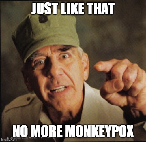 Military | JUST LIKE THAT; NO MORE MONKEYPOX | image tagged in military | made w/ Imgflip meme maker