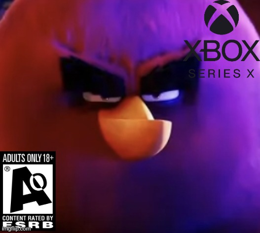 Based on this video (https://m.youtube.com/watch?v=X2oi9neh4rk) | image tagged in terence staring,xbox,angry birds | made w/ Imgflip meme maker