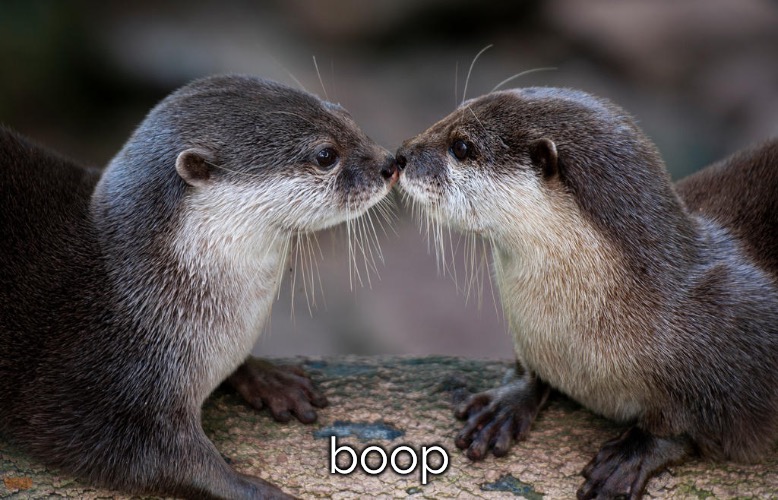 boop | made w/ Imgflip meme maker