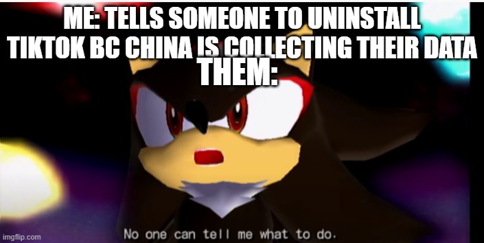 lol yes | ME: TELLS SOMEONE TO UNINSTALL TIKTOK BC CHINA IS COLLECTING THEIR DATA; THEM: | image tagged in no one can tell me what to do,tiktok sucks | made w/ Imgflip meme maker